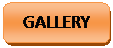Rounded Rectangle: GALLERY